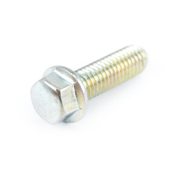 Śruba pokrywy sprzęgła (M6x20) Kayo 155 MRF