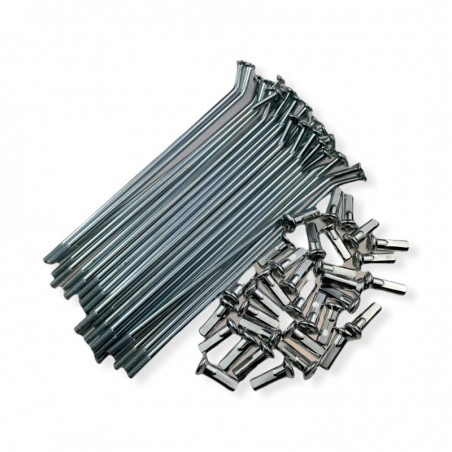 Szprychy 14' - 14,5 cm (32 szt.) YCF