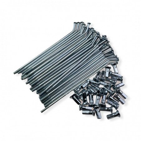 Szprychy 14' (147mmx24+150mmx8) (4.0mm) YCF