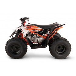 Quad Kayo AT125
