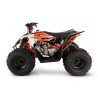 Quad Kayo AT125