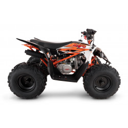 Quad Kayo AT125