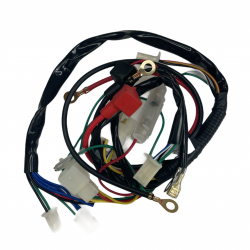 Wiązka przewodów 190 ZS z...