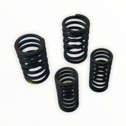 Sprężyny zaworowe 80 MRF