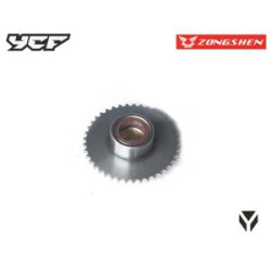 Zębatka łańcuszka...