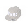 Czapka Snapback Infamous 3D grey INFMS