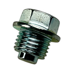 Śruba napinacza rozrządu 110 Kayo