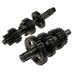 Skrzynia biegów Daytona YCF