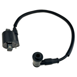 Cewka zapłonowa + fajka...