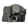 Głowica z dekielkami pitbike ZS155-G YCF