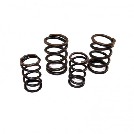 Sprężyny zaworowe 170 MRF